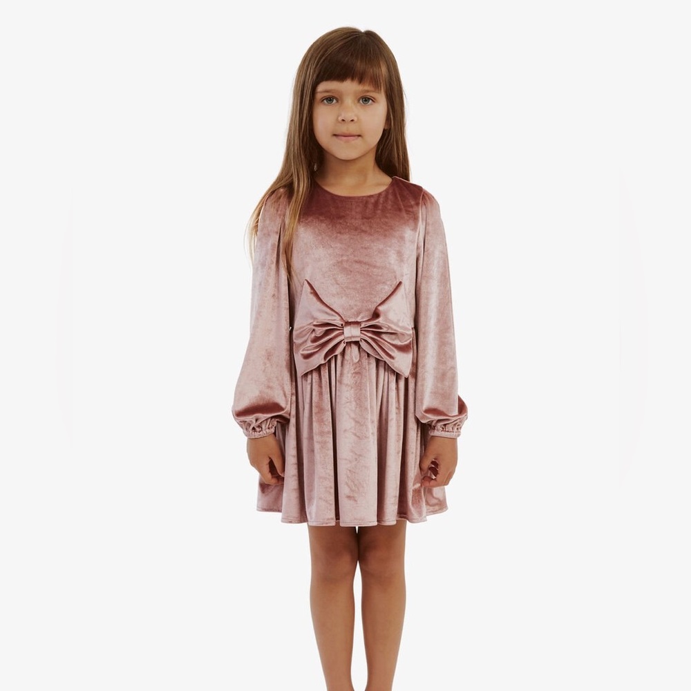 Bardot Junior Lindsey Velour Mini Dress In Dusty Rose Size 10